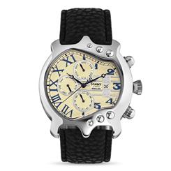 stauer guitar watch